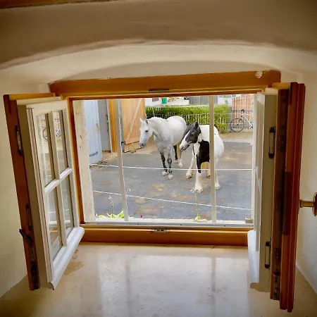 Rohrachhof Appartement Treuchtlingen Buitenkant foto