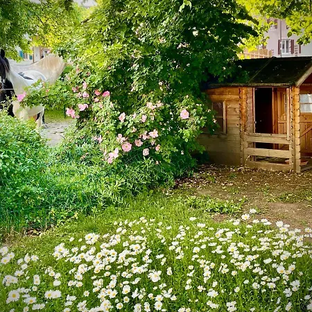 Rohrachhof Appartement Treuchtlingen Buitenkant foto