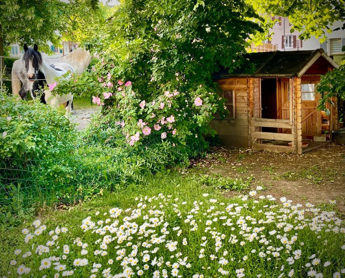 Rohrachhof *
